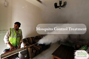 Indoor and Outdoor mosquito control treatment